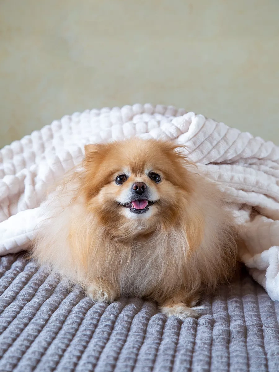 Domasnij Tekstil' Yatak Örtüsü 200x220 Kanepe Örtüsü 203380855 Gri