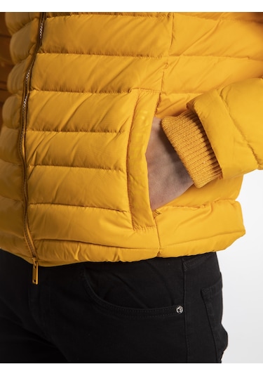 Iceberg  Erkek Mont  Ic574Mt Sarı