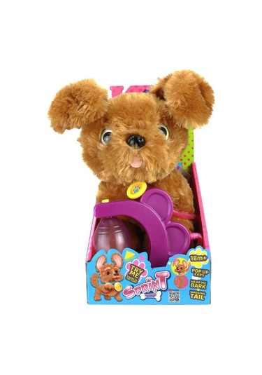 Sevimli Koşu Arkadaşım Golden Çok Renkli