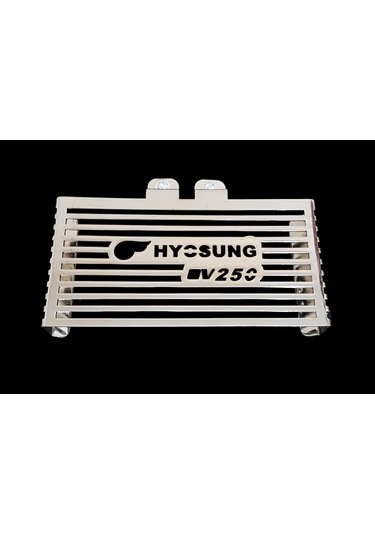 Hyosung Gv 250 Radyator Koruma