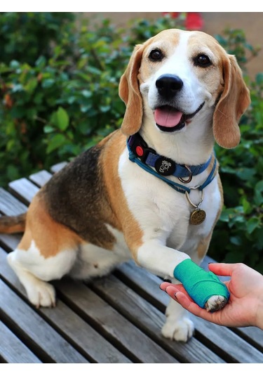 Optipetini Kendinden Yapışkanlı Esnek Veteriner Bandajı 5 Cm X 4,5 M 154793095