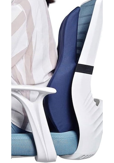 Viscower Anatomik Omurga Destekli Sırt Ve Bel Yastığı