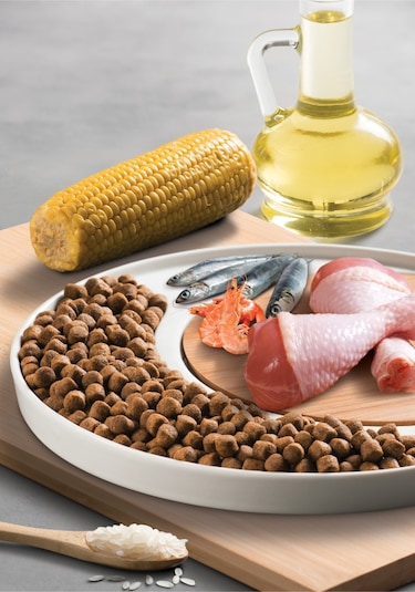 Micho Tavuklu Yetişkin Kedi Maması 2 x 3 KG