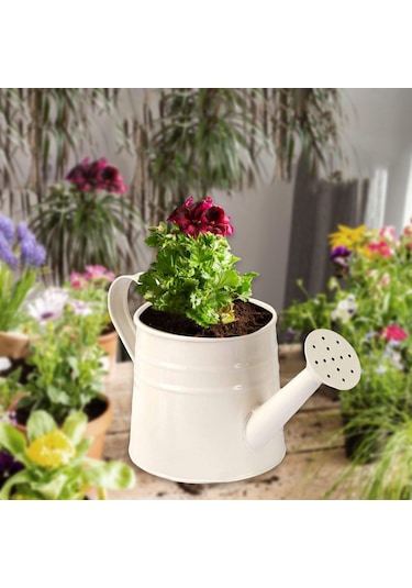 Suntek Mini Sulama Kabı El Sanatları Için Saksı Beyaz