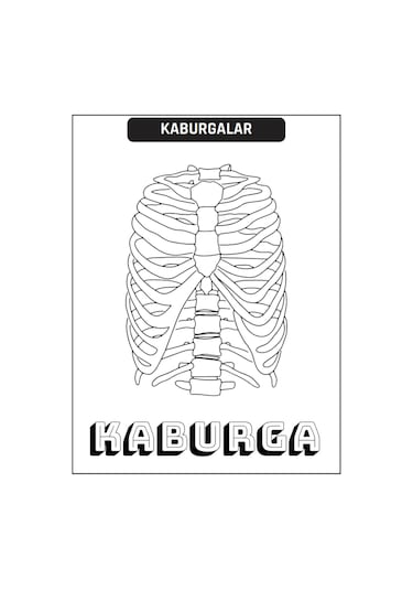 Çocuklar İçin Anatomi Boyama Kitap Seti 2 Süper Kitap