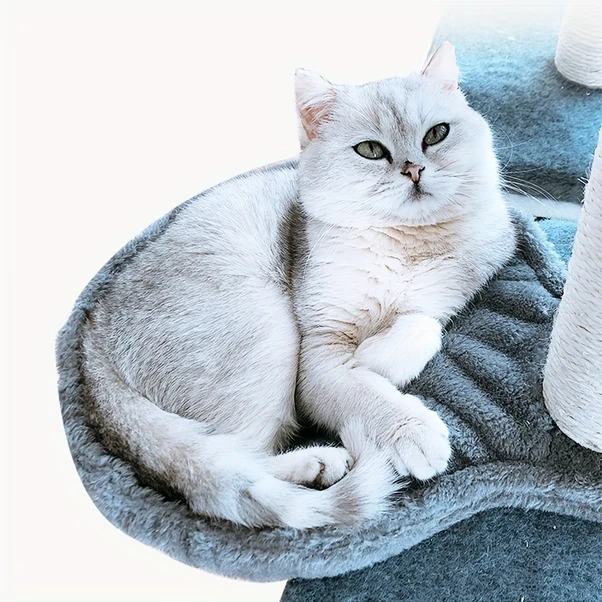 Fochsia Beyaz Dıy Kedi Ağacı Aksesuarları: Tırmanma Oyuncağı, Yumuşak Askılı Kedi Yatağı