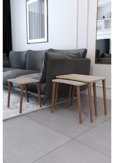 Esma Orta Sehpa Ve Zigon Sehpa 4'Lü Salon Seti - Sonomo