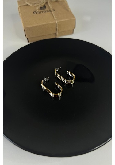 İki Renkli Gold-silver Kaplama Düz Çelik Küpe Çok Renkli