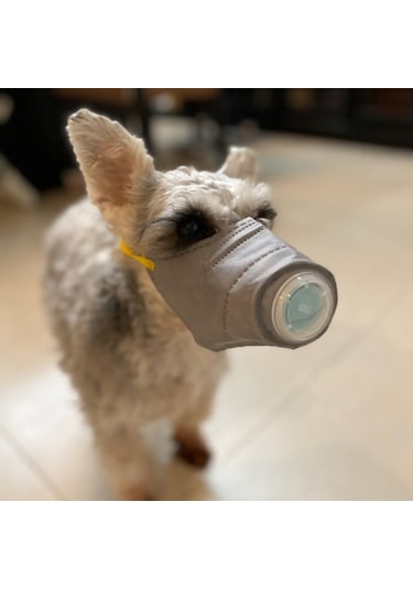 Homyl Ayarlanabilir Anti Sis Pet Köpek Ağız Maskesi Gri-l