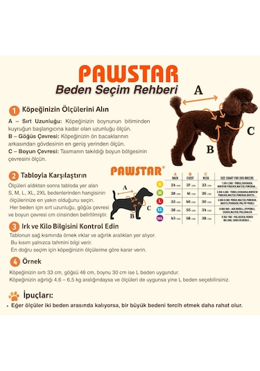 Yeşil Avocado Avokado Nakışlı Esnek Kedi Köpek Sweat- Kedi Köpek Kıyafeti