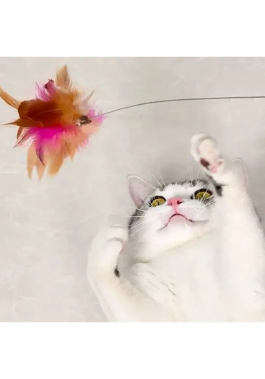 Leezsingayarlanabilir Kedi Tüyü Yaka Oyuncak Alay Çubuğu Kedi Oyuncağı Alay Oyuncak Evcil Hayvan Malzemeleri