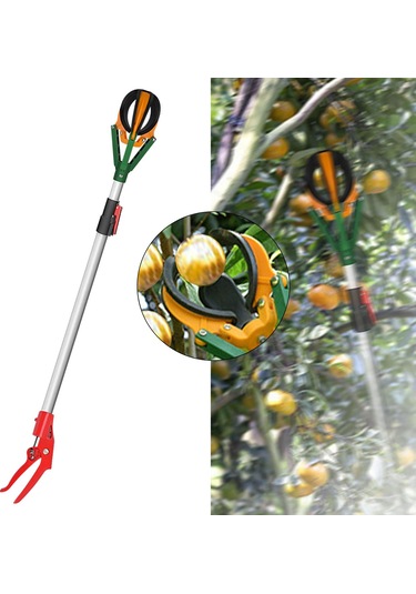 Suntek Limon Armut Mango Için Yüksek Tavanlar Meyve Toplayıcı