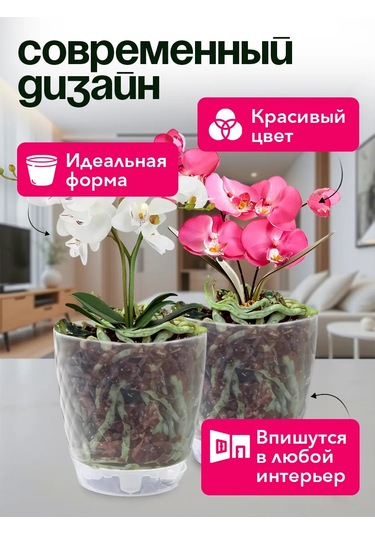 Tiko Home Tabaklı Şeffaf Çiçek Saksısı Seti 1,5 L 3 Ad 349786787
