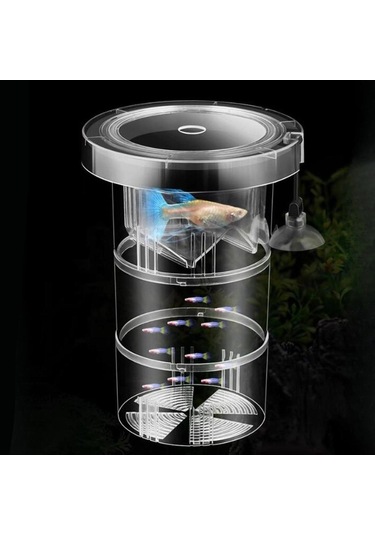 Suntek Yetiştirme Kutusu Odası Tutucu Tankı Bebek 17x12cm