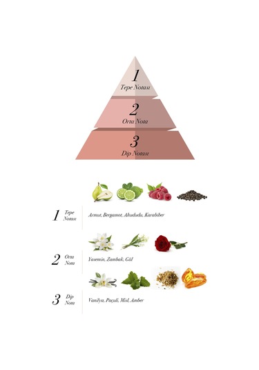 Prova Ideal Kadın Parfüm EDP 120 ML