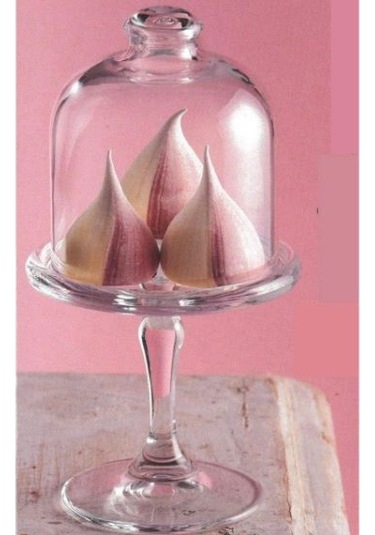 Paşabahçe 96456 Mini Pattiserie Ayaklı Kapaklı Fanus