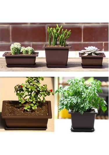 Etli Saksı Kare Dikdörtgen Plastik Bonsai Saksı Bahçe Aracı 1