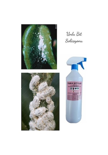 ÇİÇEK VE BİTKİLER İÇİN UNLU PAMUK BİTİ ILACI +(SUKULENT/KAKTÜS HE