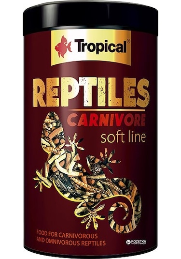 Tropical Reptiles Carnivore Soft Etobur ve Omnivor Sürüngenler Iç