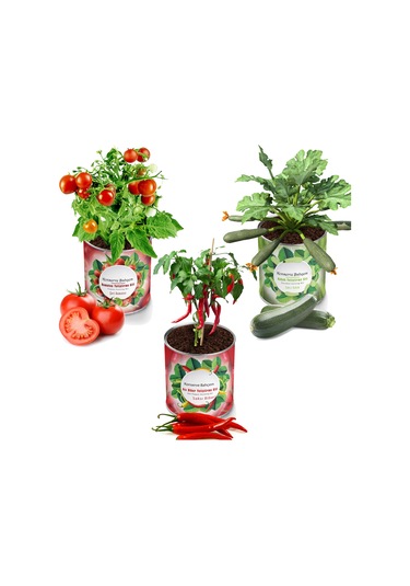 Konserve Bahçem Domates + Acı Biber + Kabak Yetiştirme Kiti 3 Adet