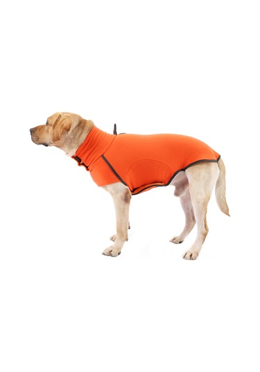 Vkemall Köpekler İçin Kışlık Isı Sağlayan Yünlü İç Katlı Turtleneck Sweatshirt - Turuncu, Beden S Ya002m031