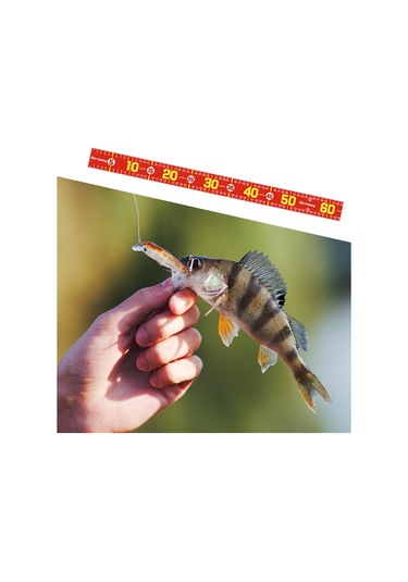 Homyl Balık Ölçme Aracı 51.18 '' Tekne Kırmızı-b