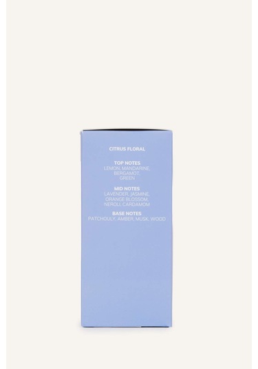Defacto Erkek 50 ml Defacto Blue Parfüm L4179AZNS