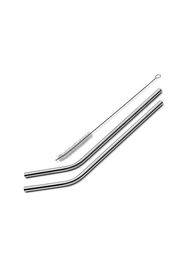 Springsun Paslanmaz Çelik 2'li Bükülü/düz Metal Pipet Seti - Temizlik Fırçası Hediyeli Diğer