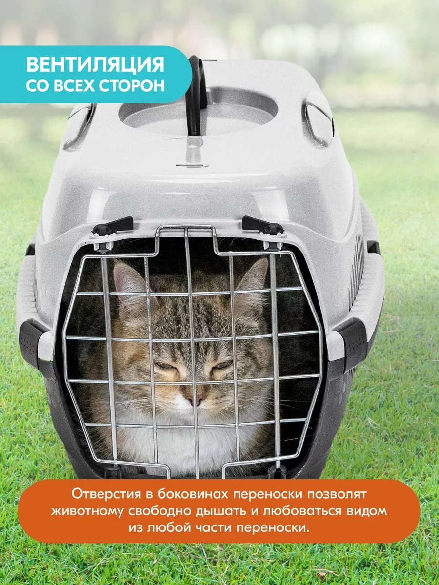 Pettails Plastik Kedi Taşıma Kafesi, Hayvanlar İçin Metal Kapılı 27566027