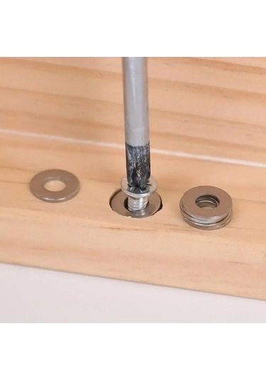 Dancemonkey Paslanmaz Çelik Vida Pul Seti - 180 Parça M2-m10 Contalı Kullanışlı