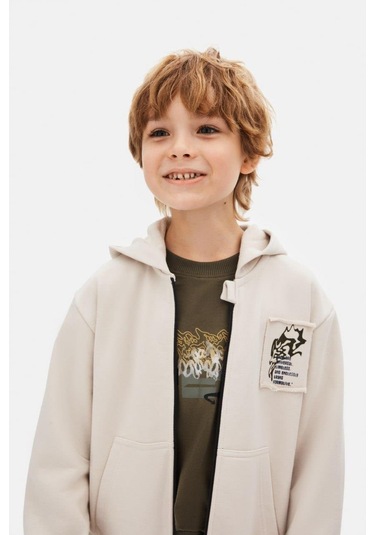 Erkek Hırka 25knk49307 Gri