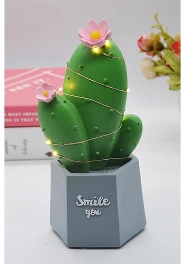 Sıladanal Led Işıklı Kaktüs Biblo Ev Dekorasyon Ve Hediyelik Eşya Led Aydınlatma Diğer