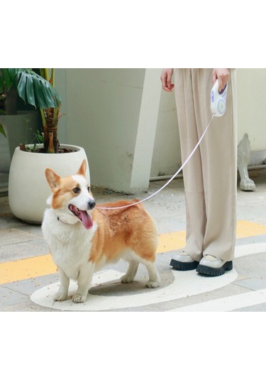 Soulader Otomatik Geri Saran Teleskopik Köpek Tasması, Kedi Ve Küçük Irklar İçin Açık Havada Yürüyüş İpi