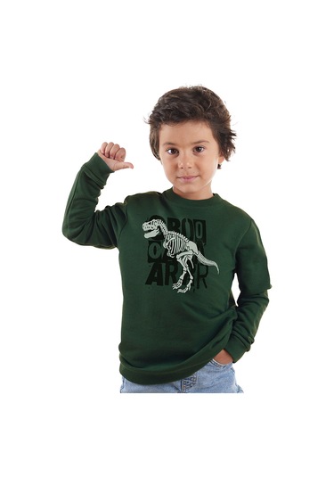 Denokids Roarr Dino Erkek Çocuk Haki Sweatshirt Renkli