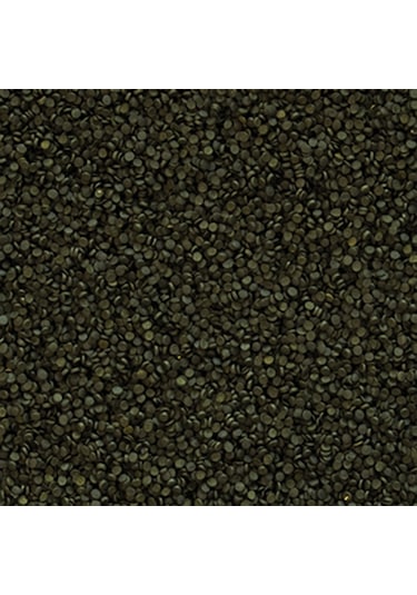 Tropical Süper Spirulina Forte Granulat Granül Yem 1 KG