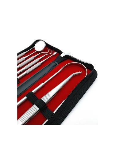 Valkyrie 7 adet Paslanmaz Çelik Diş Tartar Dil Temizleme Dental A