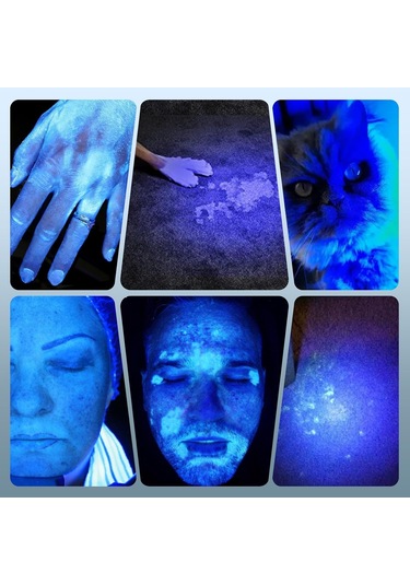 Veteriner Pet Dermatolog Cilt Analiz Cihazı Wood Işığı Ten Analiz Aleti