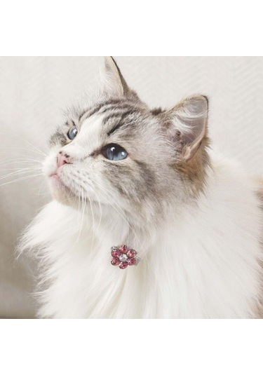 M-pets Glam Çiçekli Kedi Ve Köpekler İçin Aksesuar Toka Pembe Beyaz Pembe
