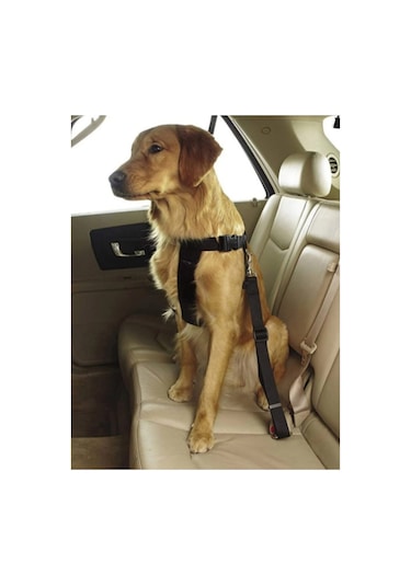 Ankaflex Evcil Hayvan Araç  Emniyet Kemeri