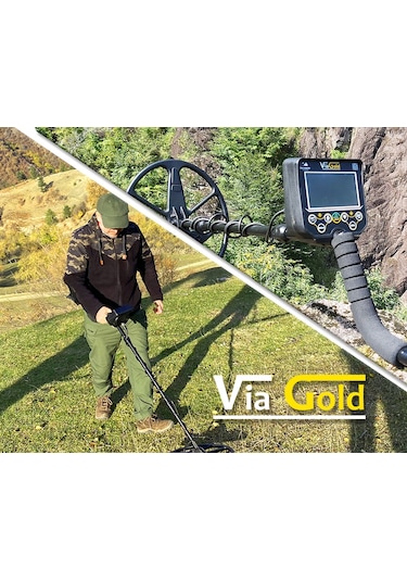 Via Gold Dedektör