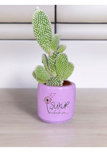 Şükür Sebebim Temalı Anneler Günü Anneye Ve Eşe Özel El Yapımı Hediye Saksı Çiçeksiz Model 61