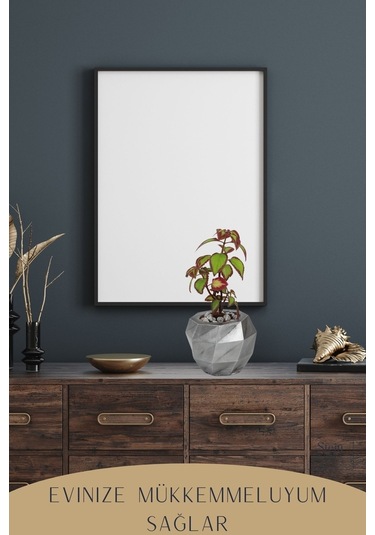 Çiçek Saksısı Dekoratif Kaktüs Saksı 1 Adet Dönen Poly Model - Gümüş Eskitme