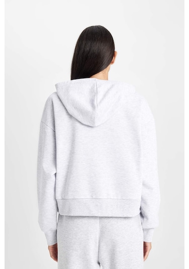Defacto Regular Fit Kapüşonlu Baskılı Kalın Sweatshirt D6720AX24WNGR93 Gri