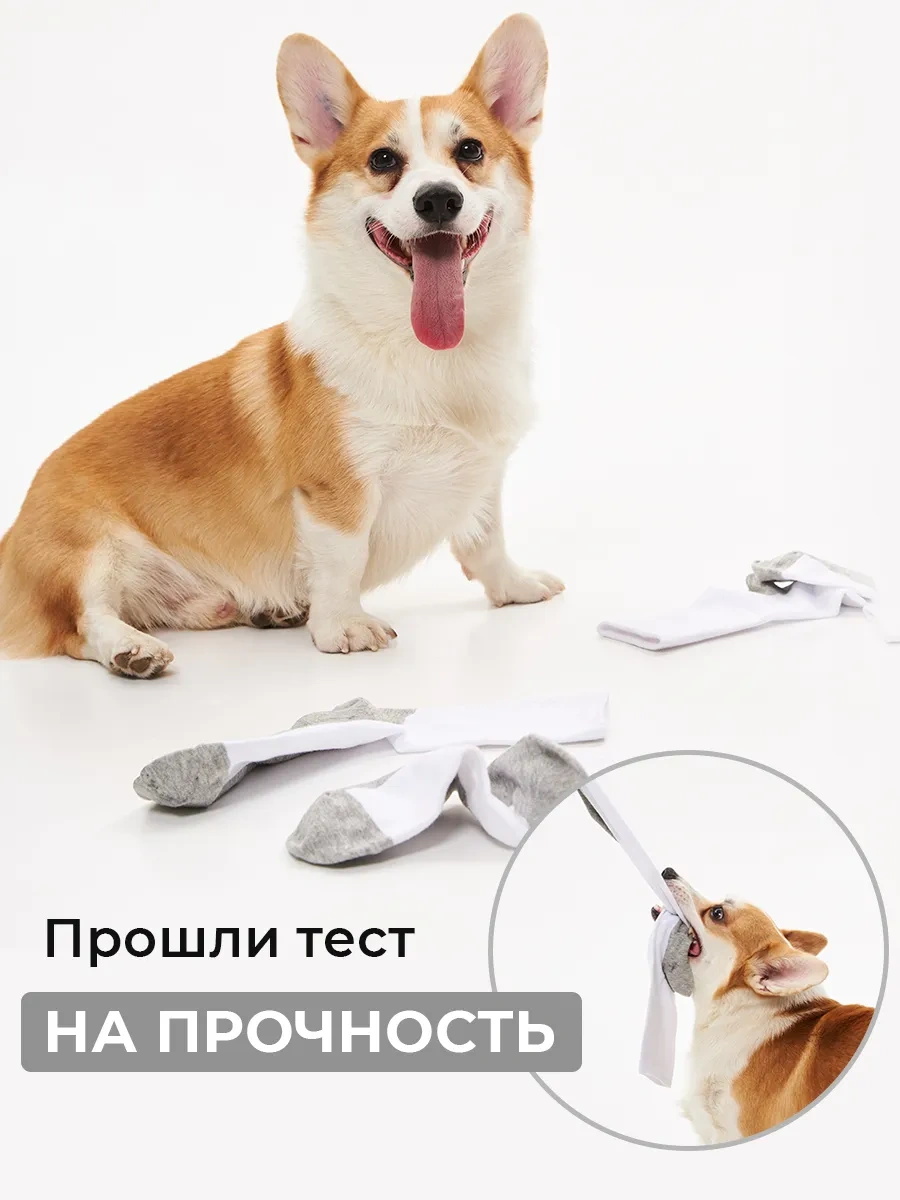 Ozal Socks Beyaz Uzun Çoraplar 5 Çift 264432821 Beyaz