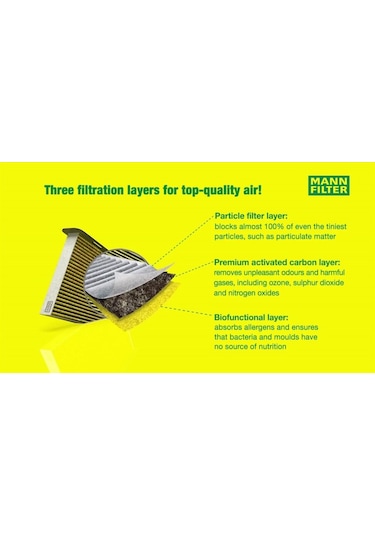 Mann Fp2939 Antibakteriyel Alerjik Polen Filtresi