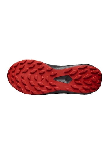Salomon Alphaglıde Gore-tex Erkek Ayakkabısı L47975200 Çok Renkli