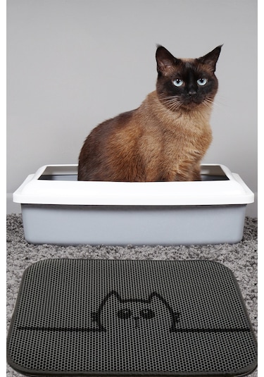 Hide Kedi Kumu Paspası Gri Elekli Tuvalet Önü Paspası