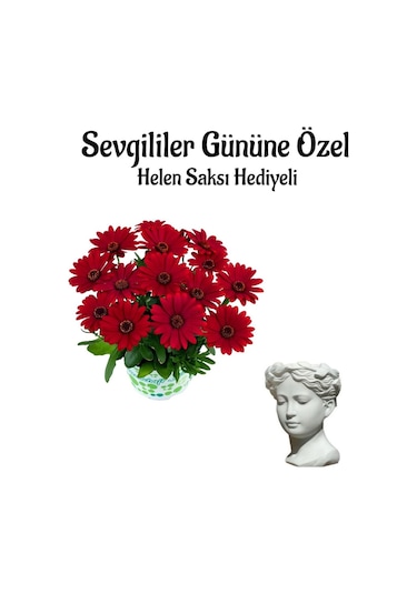Kadınlar Gününe Özel Kırmızı Renk Bodrum Papaptyası Helen