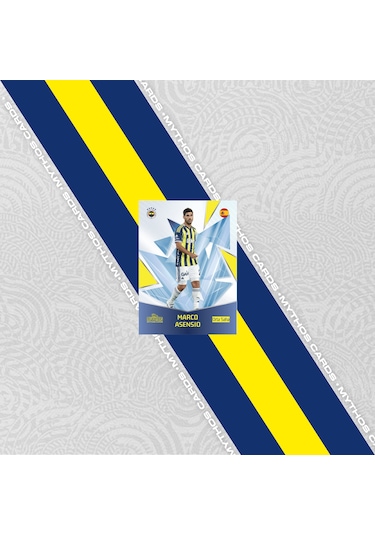 Fenerbahçe 2025-26 Sezon Kartları - Kutu
