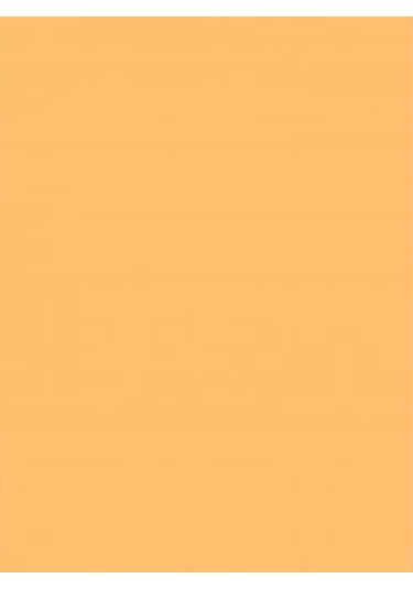 Wagner Boya Wabıesılan Silikonlu Dış Cephe Boya 2,5 Lt